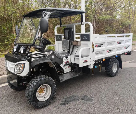 precio de cuatrimoto de carga