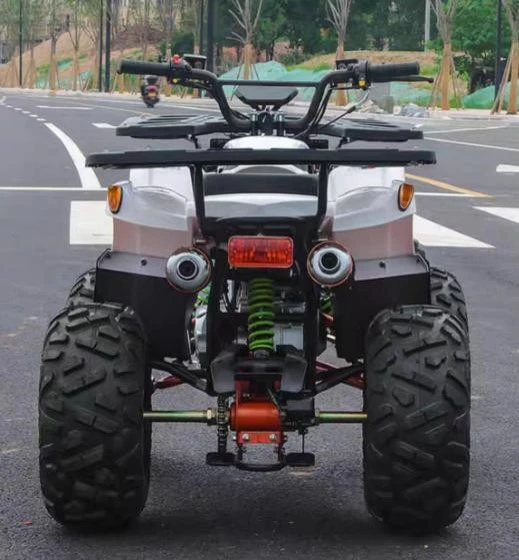 cuatrimoto adulto economica