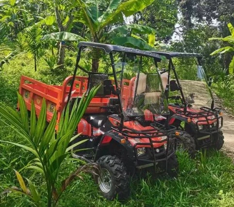 cuatrimoto de carga especial para trabajo con cardan