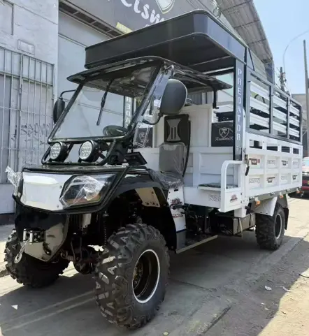 cuatrimoto de carga tipo camión cuatrimoto de carga tipo camión