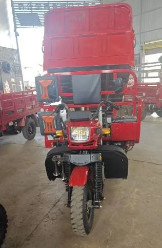 motocarro doble eje