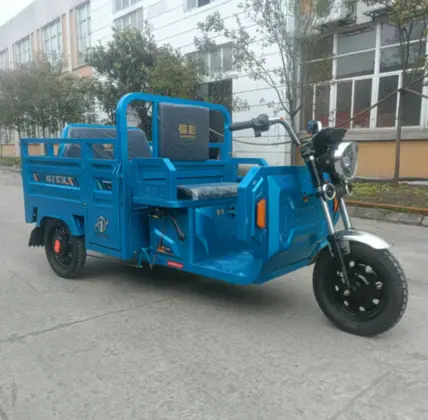 motocarro electrico