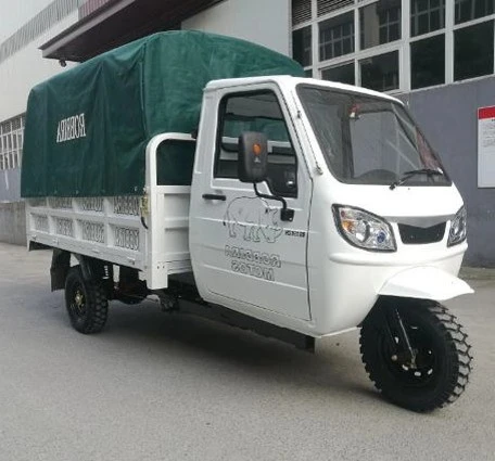 motocarro tuxtla
