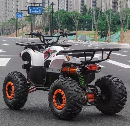 venta de cuatrimoto adulto